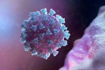 "مو" متحور كورونا الجديد