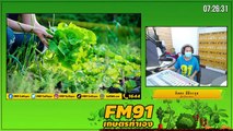 การทำเกษตรในหน้าฝน : FM91 เกษตรทำเอง : 9 พฤษภาคม 2564