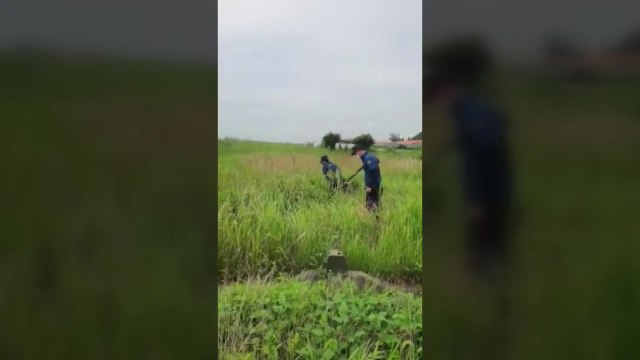 지인에게 살해된 30대 여성 추정 시신 전남 영암서 발견 / YTN