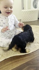Baby and New Puppy are Friends at First Sight