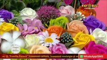 Gheorghita Nicolae - Unde canta lautarii (Ceasuri de folclor - Favorit TV - 23.06.2021)