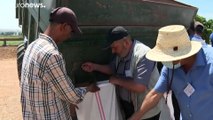 شاهد: مزارعون تونسيون يعودون الى 