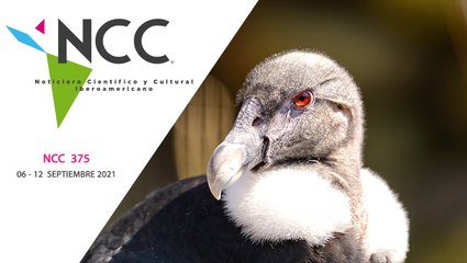 Noticiero Científico y Cultural Iberoamericano, emisión 375. 06 al 12 de septiembre del 2021