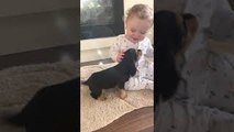Baby and New Puppy are Friends at First Sight