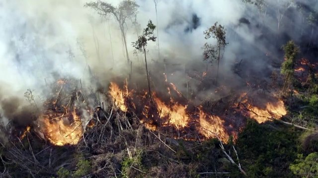 Incêndios na Amazônia continuam em níveis elevados