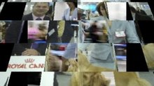 Dog Show EURASIA-2 24.02.2008 Moscow part 1