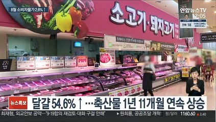 소비자물가 5달째 2%대↑…"농축산·석유류 중심"