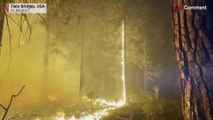 ABD'de orman yangınları: California ve Nevada'da acil durum ilan edildi