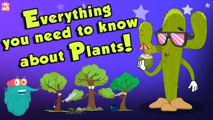 Download Video: Everything You Need To Know About Plants | Source Of Oxygen | The Dr Binocs Show | Peekaboo Kidz