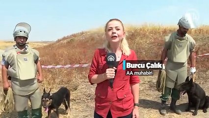 Azerbaycan'ın işgalden kurtarılan kentlerinde 10 aydır karış karış mayın temizliği yapılıyor