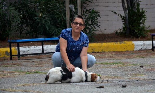 Okul müdür yardımcısı sokak hayvanları için plastik atık topluyor