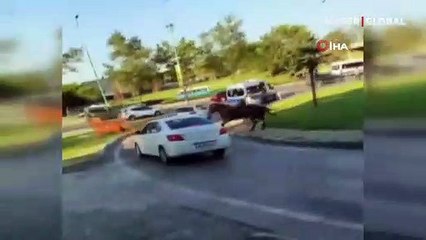 Bursa sokaklarında başıboş at şaşkınlığı