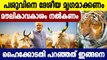 Govt Should Make Cow National Animal, Give it Fundamental Rights: Allahabad HC