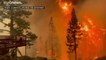 Калифорния: лесной пожар бушует в районе озера Тахо