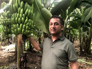 Bankalar "yetişmez" diye kredi vermedi, şimdi bölgenin örnek çiftçisi oldu