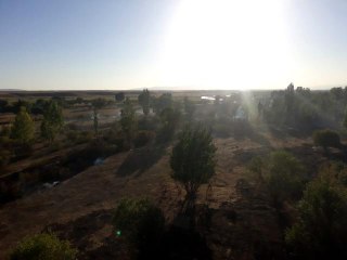 Ağrı'da çıkan orman yangını kontrol altına alındı