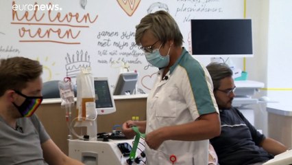 Нидерланды: представителям ЛГБТ разрешили быть донорами крови