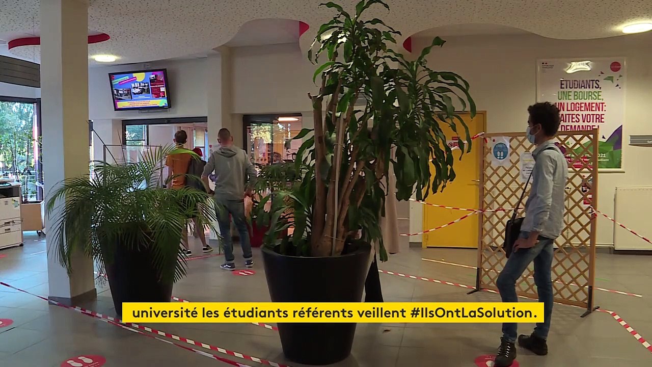 À la Rochelle, trois étudiants référents veillent sur les premières années