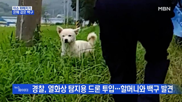 MBN 뉴스파이터-이틀간 곁 지킨 '백구' 덕에… 빗속 실종된 90대 할머니 무사히 집으로