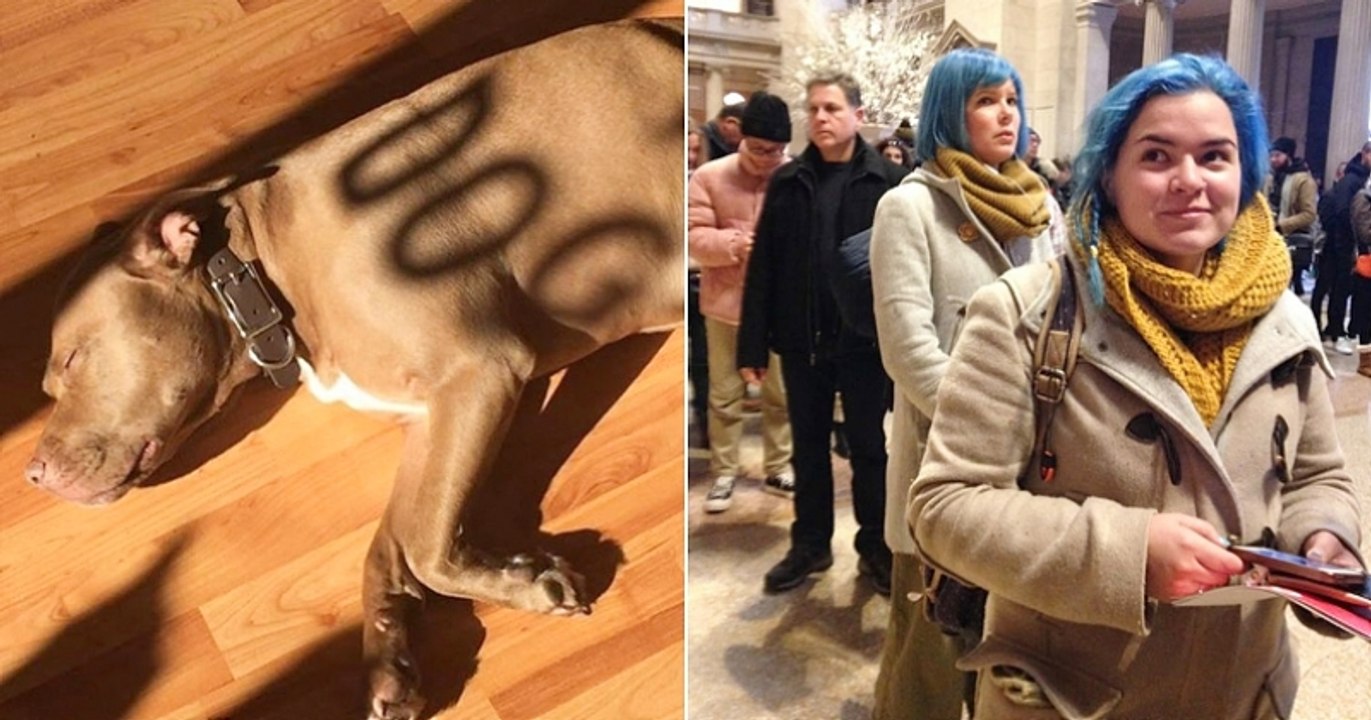 21 photos de coïncidences absolument incroyables qui vont vous scotcher