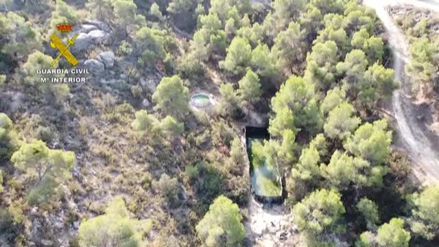 Detenidas más de cien personas en dos operaciones de la Guardia Civil contra el tráfico de marihuana