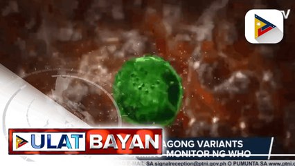 Video herunterladen: Dalawa pang bagong variants ng COVID-19, mino-monitor ng WHO