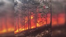 Son dakika haber! Sarıkamış Ormanları'nda korkutan yangın: Ekiplerin müdahalesi sürüyor