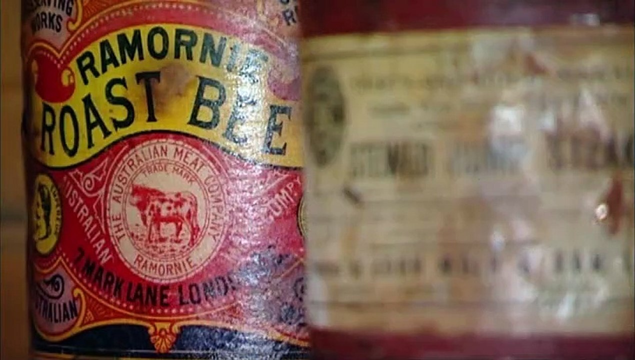 Zukunft ohne Menschen - Das menschliche Erbe