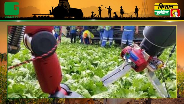 किसानों को सशक्त (empower farmers) बनाने के लिए अमेजन ने शुरू किया एग्रोनॉमी सर्विसेस (Amazon Retail Launches Agronomy Services for Farmers), किसान स्टोर (Kisan Store) से घर बैठे बीज (Seed) व खाद (Fertilizer) मंगा सकेंगे किसान भाई | Kisan Bulletin