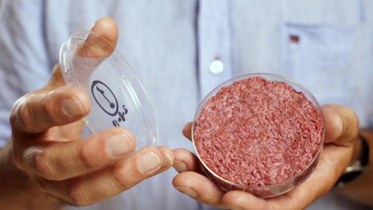 Laborfleisch: Klimarettung aus dem Reagenzglas?