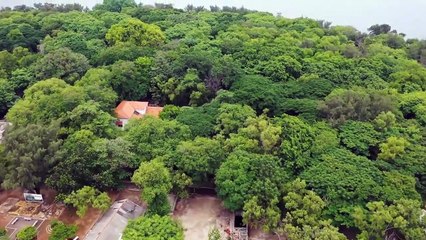 RELAXING INSTRUMENTAL MUSIC WITH SEA VIEW