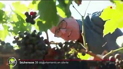 Sècheresse : 38 départements placés en alerte par manque d'eau