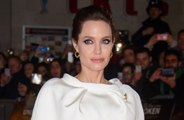 Queen Bee! Angelina Jolie wants to protect the world's bee population