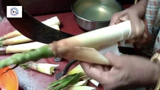 Bash Korol Recipe পুর ভরা বাঁশ করুল Stuffed Bamboo Shoot কি পুর দিলাম বাঁশ কোড়ল এ? Brand New Recipe