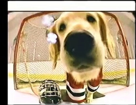 Opening to Babes in Toyland 1997 VHS