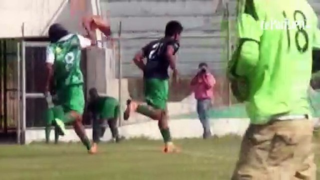 Bolivie : une attaque d’abeilles sème la panique lors d’un match de foot