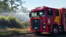 Bombeiros combatem incêndio em vegetação no Bairro Brasmadeira