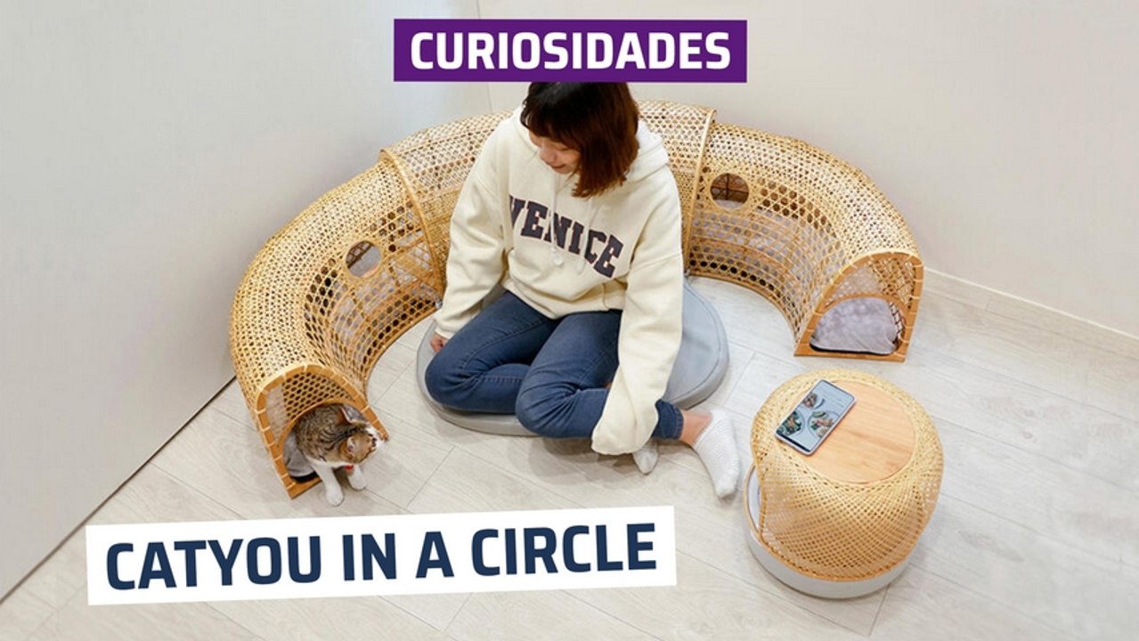 [CH] CatYou in a Circle