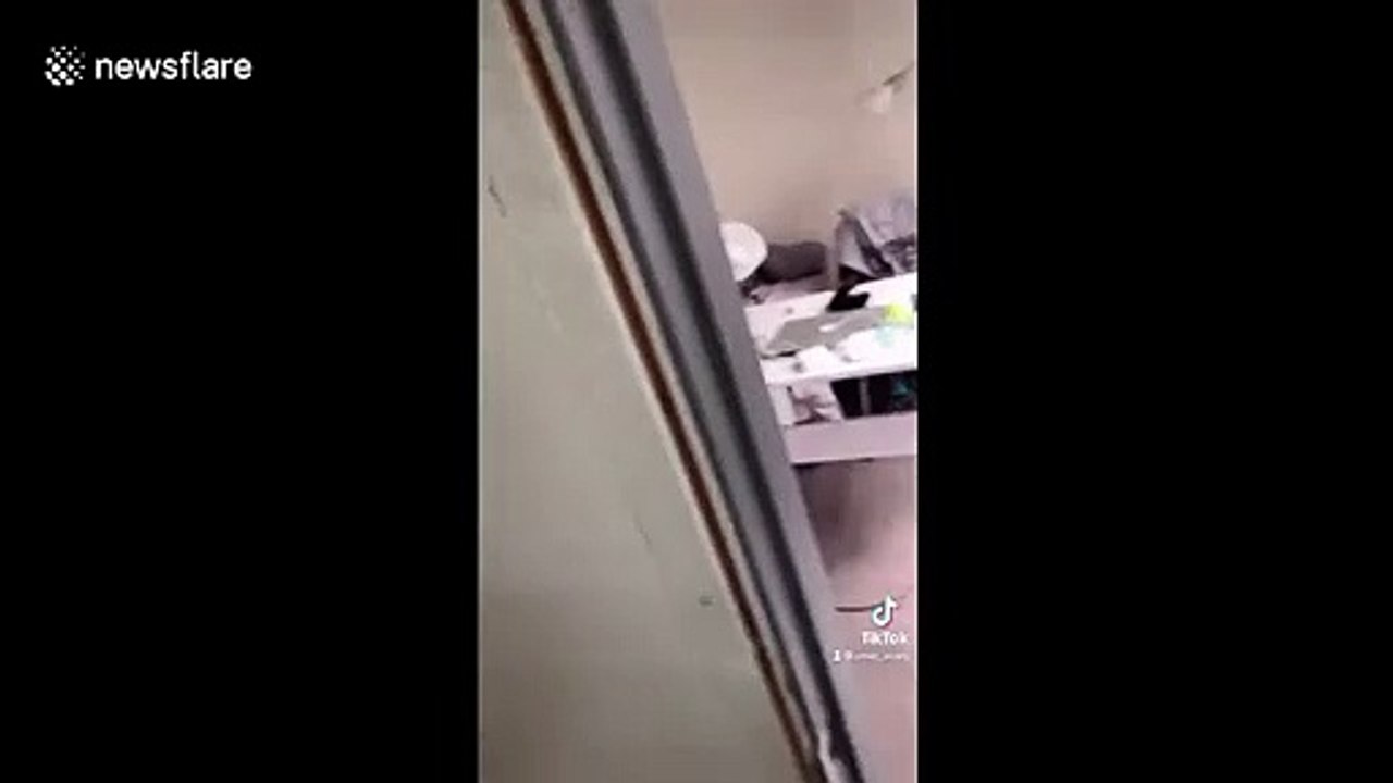 Son propriétaire refuse de lui rendre sa caution, il détruit l'appartement