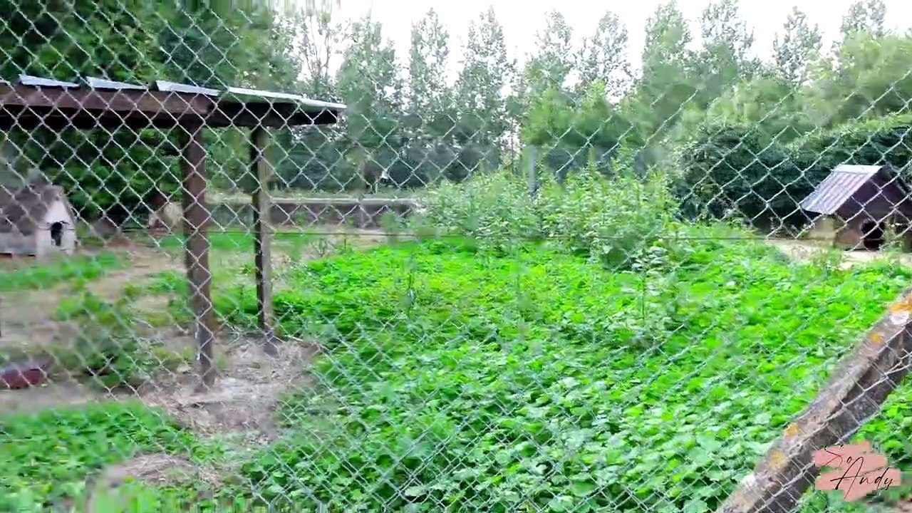 Deux pauvres filles dans les travaux (et adoption de bébés)