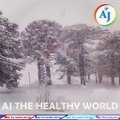 Abnormal Snowfall In Argentina | Global Warming | Extreme Weather | Climate change | Argentina News