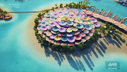 ...الشركات هذه المستويات لم نرها منذ عام ....