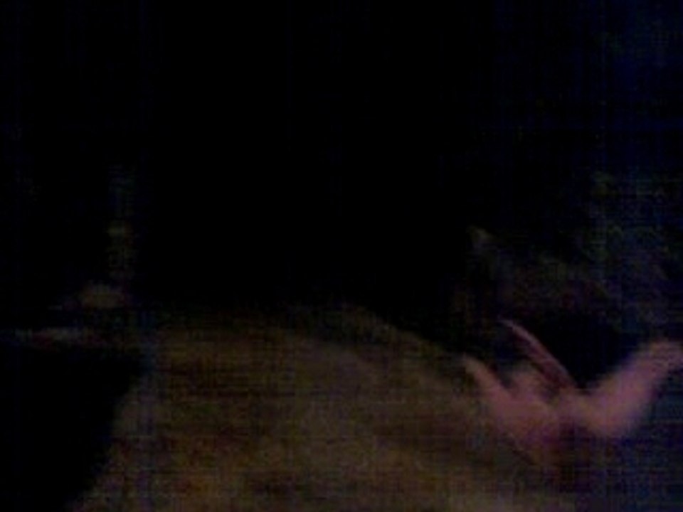 concour de buveur d'oeuf