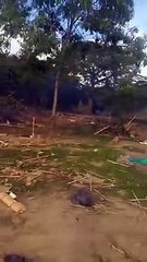 el desolador panorama del Jarillón en Cali tras el paso del ESMAD