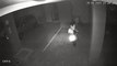 Vídeo mostra moto ‘fantasma’ se movendo sozinha em garagem de prédio