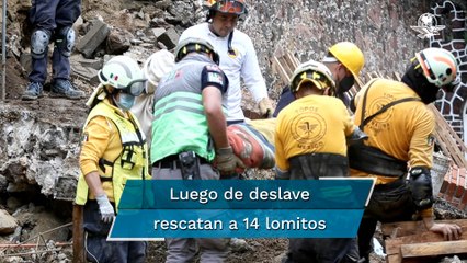 Concluye rescate en Milagros Caninos; Pasilla, la lomito que hoy tiene una tercera oportunidad