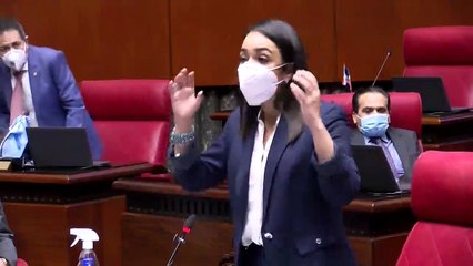 Faride Raful responde al vocero del PLD sobre tema delincuencia
