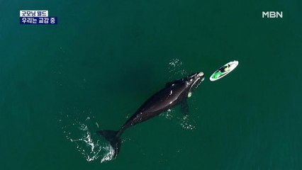 [굿모닝월드] 우리는 교감 중