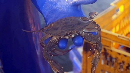 Fisher forges unique alliance to help keep industry alive