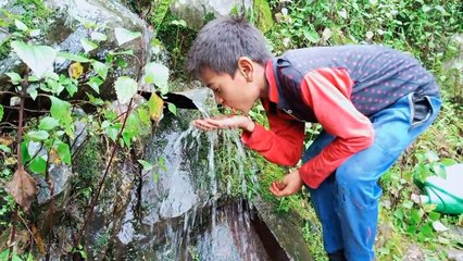 Saira Gaon | Music Copy Of Pandavaas | Best HillStation Video | Surajrawatofficial26